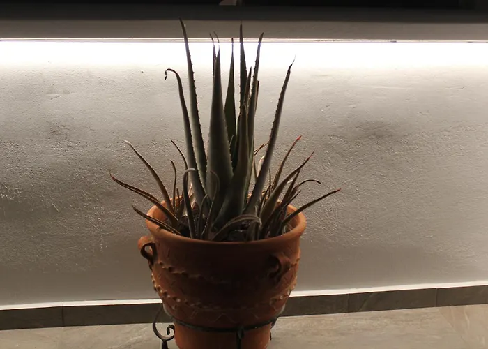 Vakantiehuis The Rock Luxury Homes *