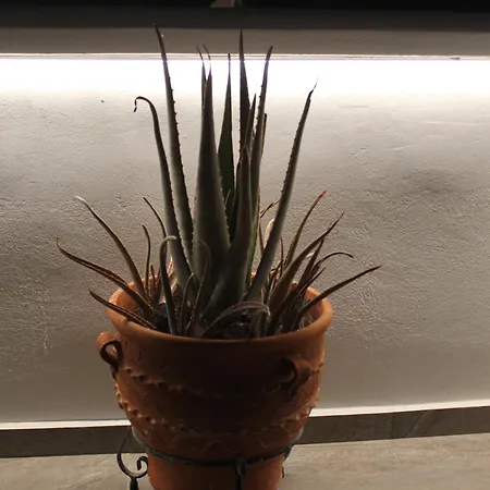 Hébergement de vacances The Rock Luxury Homes *